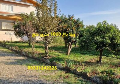 Cozy-1000-meter-garden-villa-on-Lefour-Road